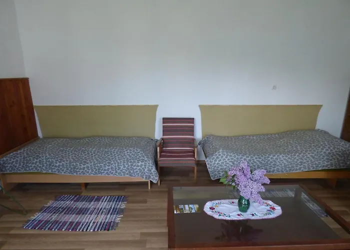 Agoc Vendeghaz ゲストハウス